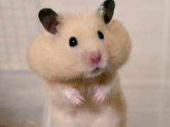 네 과거는 나에게 상관없어.