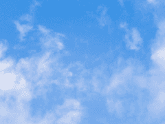 맹수밭에서 살아남기