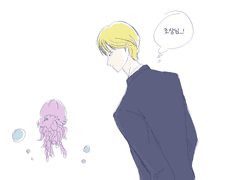 이착헌 해파리 수족관