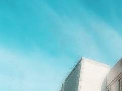 그러면 세계는 되돌아간다.