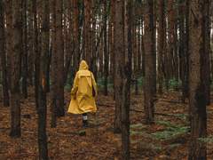 [키아라X엘리나] starlight