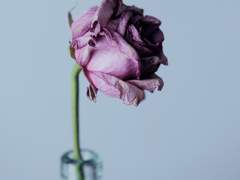 [매그너스X유리나] 내 마지막 소원은 너야