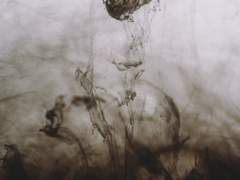 [단X웰윅/웰윅X단] 평온한 일상