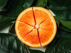 [거스X레스] Orange marmalade_remaster + Spectrum