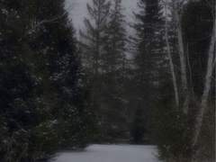 [우성명헌] 눈 _2