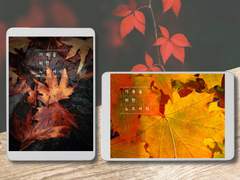 기록을 위한 노트 서식(Autumn Leaves)