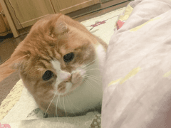 김여주 ! 엔시티로 출근했습니다~++++++