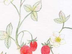 R2:출입금지 구역(외전1)