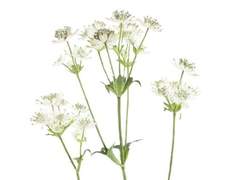 [유수] 6년 8개월 후원자 08.