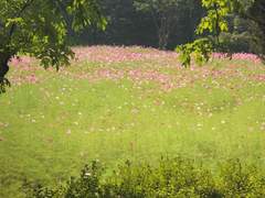 [유수] 6년 8개월 후원자 11.