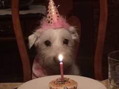 수넝 버러가는거야?