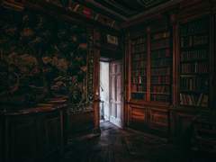 탐화봉접(探花蜂蝶)