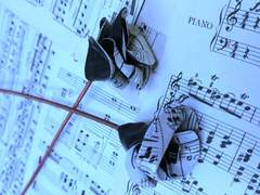 유박하 / 18세 / xy