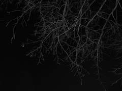 [시오남순] 무저갱 下