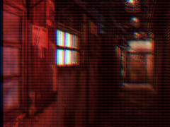 리 훼이 강 / 37 / 해결사