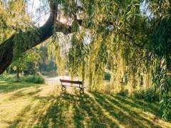 연일고/18/독고 현