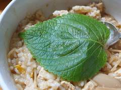 브베사진 - 요즘 상추하고 깻잎을 많이 먹어요