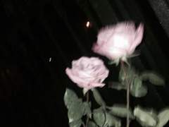 전 3년전에죽은그애를좋아하니까요바이브