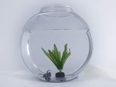 흐린 세상 속 낭만 그 하나가