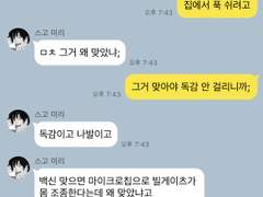 체인소맨 드림 카피페 ⑦