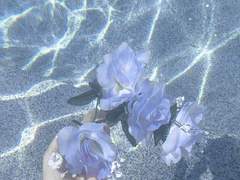 인어의 사랑 이야기