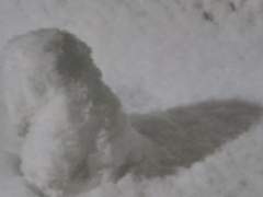 좋아하는 계절을 바꿔볼까 합니다.