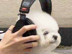 인스타그램 팔로워 늘리는 방법