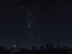 칠흑같은 밤의 <<달빛>> 부대원모집!