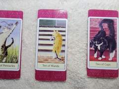 네 송이 ) 2023년 남은 연말 나의 금전운은 과연...?