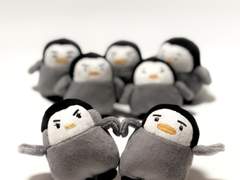 하트 받으세용🫶🏻