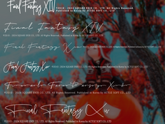 2024 파이널 판타지14 워터마크