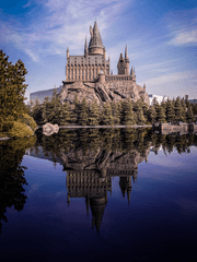 해리 포터와 죽음의 성물 그 후