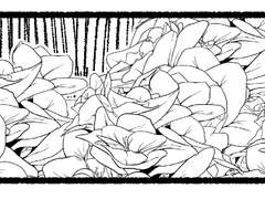 [츠카네네] 동경했던 88개의 스타