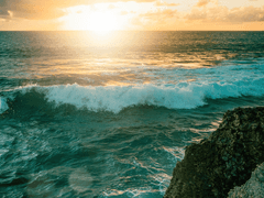 2024년 2월 6일 화요일