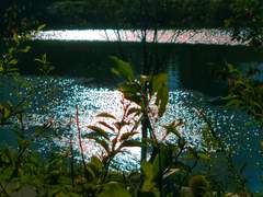 유키노리 집에서 하루 머물게 된 다이