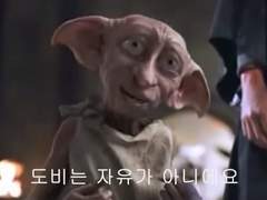 231116 코끼리도 초식동물이다