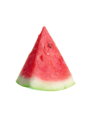 공포 게임에서 Game Over