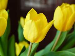 빈 공간을 채우다<노지쿠가>