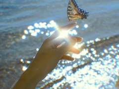 차가운 여름밤.