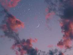 취향 맞으니까 그만 놀려요.