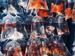 양 메이링/30/女