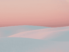 세나 글 커미션