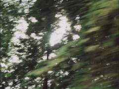 카나 커미션 모음