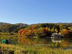 12. Don’t say Sorry