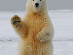 이런 소환은 싫다고!