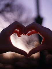 우리 서로 사랑하지는 말자