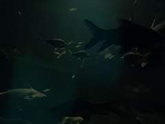 괴물은 괴물에게서 괴물을 보는법.