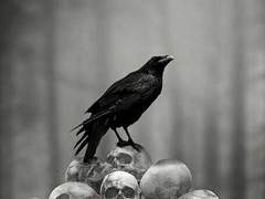 나를 기억해 줘