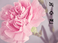 06 : 시선의 높이