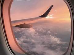 보더, 라인 09 (完)